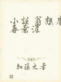 小说 翁想房中春意浓封面