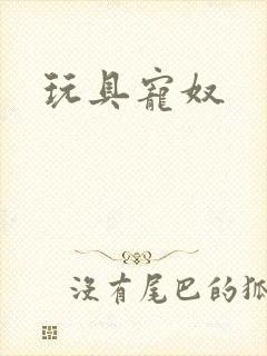 玩具宠奴封面