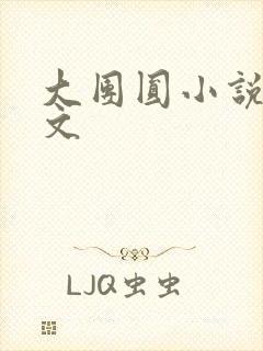 大团圆小说集全文