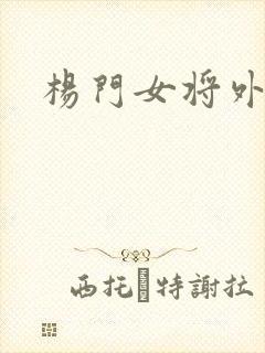 杨门女将外传