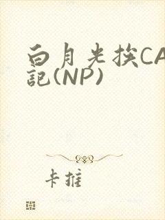 白月光挨CAO记(NP)