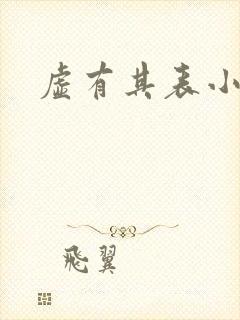 虚有其表小说