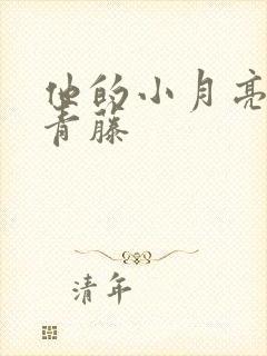 他的小月亮by青藤封面