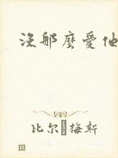 没那么爱他封面