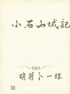 小石山城记封面