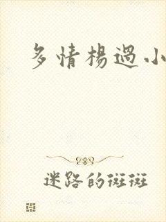 多情杨过小说