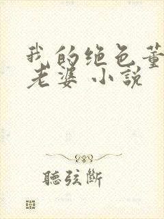 我的绝色董事长老婆 小说