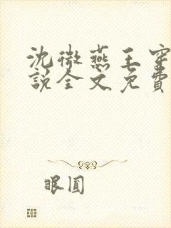 沈微燕王穿越小说全文免费阅读
