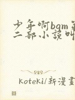 少年啊bgm第二部小说叫什么
