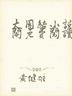 大团结小说笔趣阁免费阅读封面