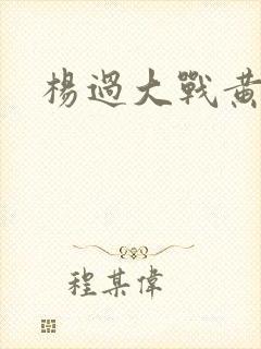 杨过大战黄蓉