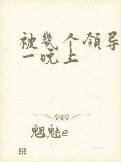 被几个领导玩弄一晚上