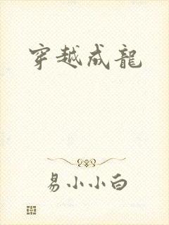 穿越成龙
