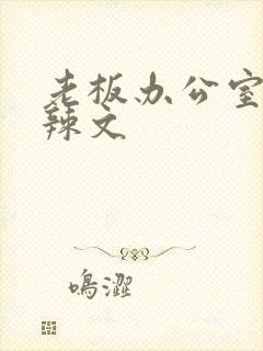老板办公室系列辣文封面