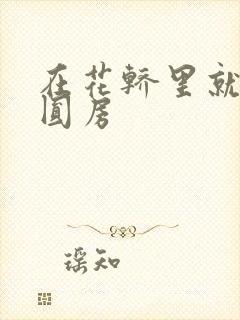 在花轿里就开始圆房