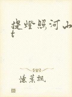 提灯照河山txt封面