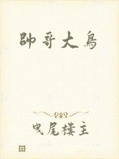 帅哥大鸟