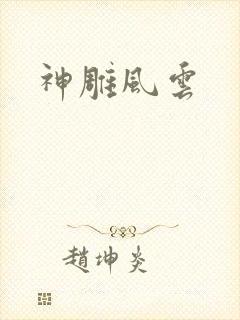 神雕风云