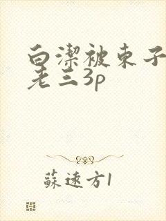 白洁被东子老二老三3p封面