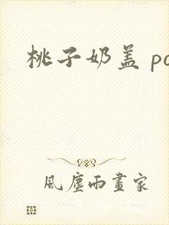 桃子奶盖 po封面