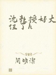 沈教授好大含不住了h