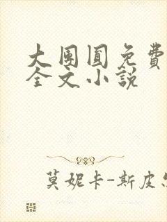 大团圆免费阅读全文小说封面