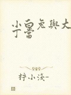 小白兔与大灰狼丁当