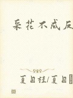 采花不成反被采封面