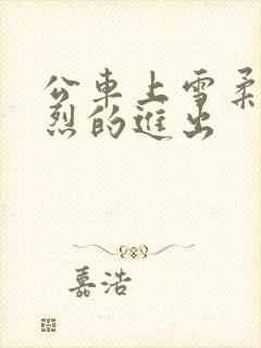 公车上雪柔被猛烈的进出