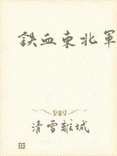 铁血东北军
