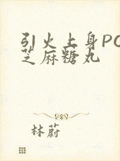 引火上身POP芝麻糖丸封面