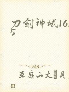 刀剑神域16.5封面