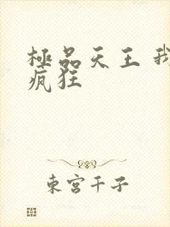 极品天王 我本疯狂