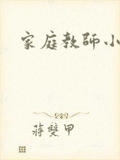 家庭教师小说封面