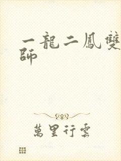 一龙二凤双飞老师