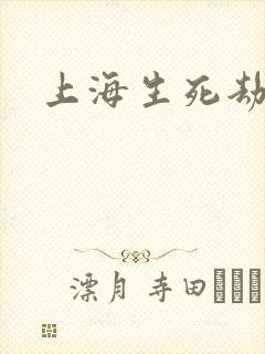上海生死劫封面