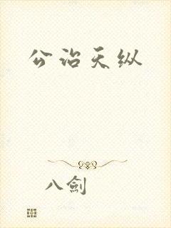 公治天纵封面