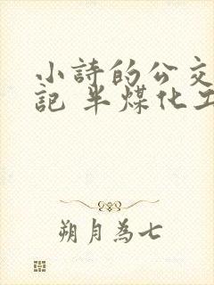 小诗的公交车日记 半煤化工