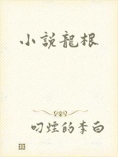 小说龙根