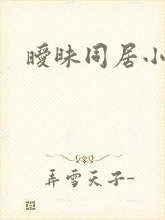 暧昧同居小说