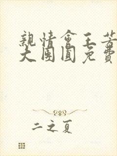 亲情会王芳高敏大团圆免费阅读