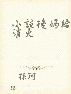 小说后妈给我消消火
