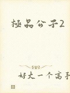 极品公子2封面
