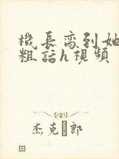 机长脔到她哭h粗话h视频封面