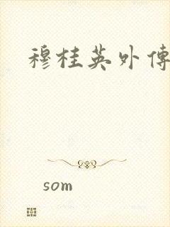 穆桂英外传