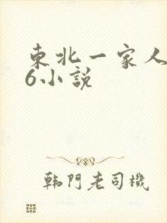 东北一家人1一6小说