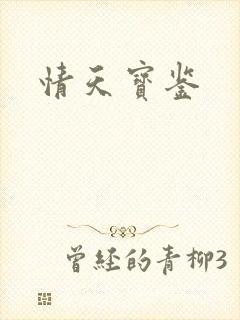 情天宝鉴