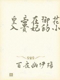 皇帝在御花园进入贵妃的小说