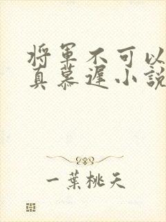 将军不可以魏云真慕迟小说笔趣阁