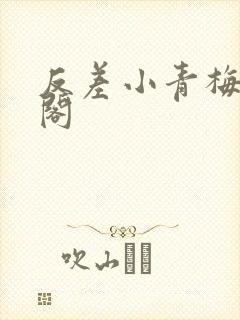 反差小青梅笔趣阁